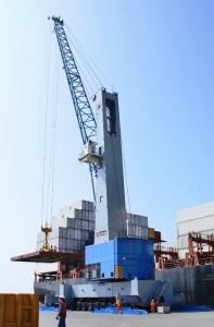 terex