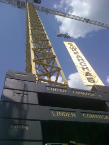 Golden Crane