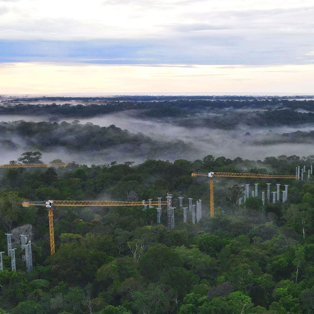 Aerial view of Liebherr 85 EC-B flat-top tower cranes above the AmazonFACE experimental plots in the Amazon rainforest