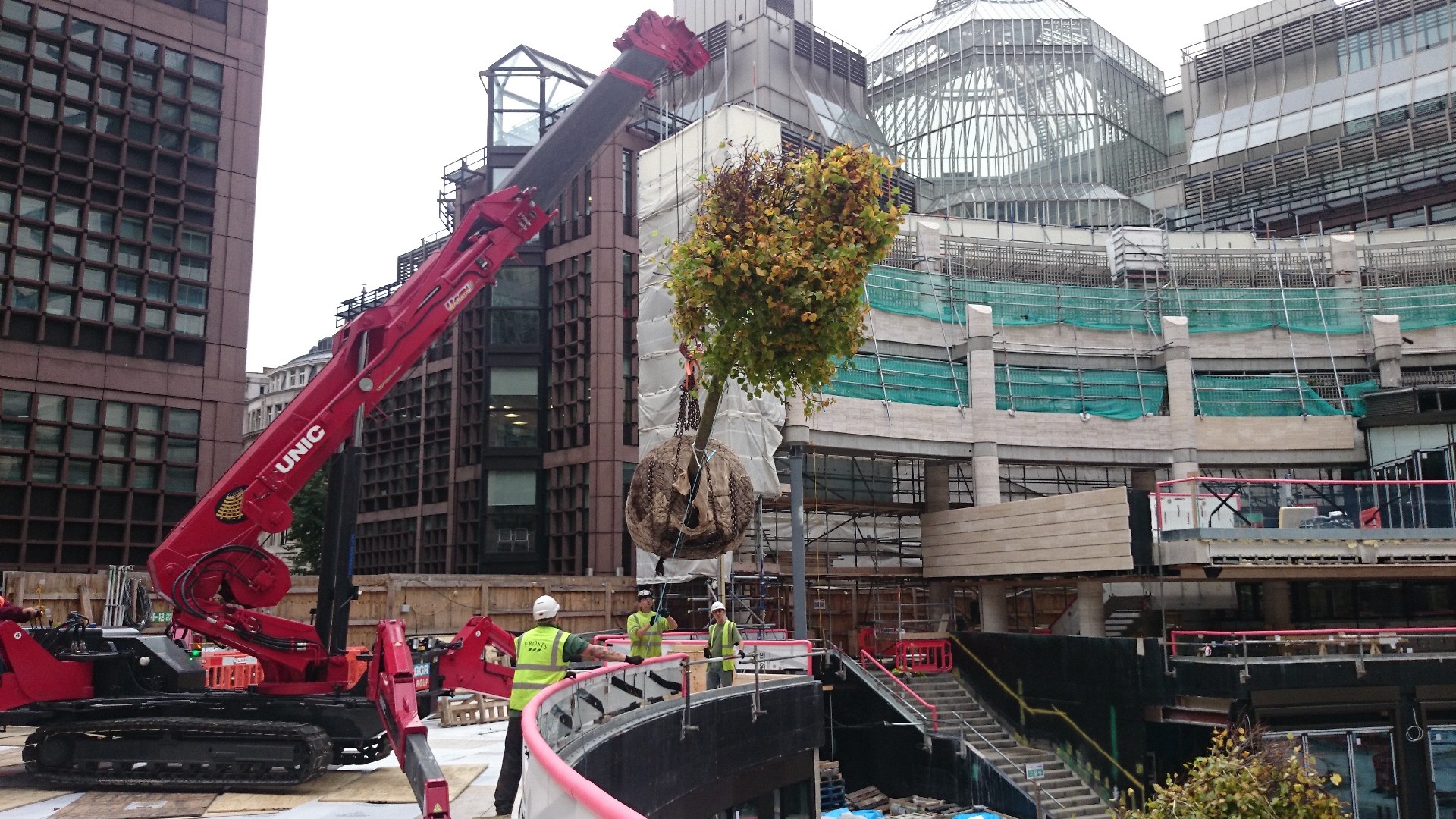 UNIC URW-1006 spider crane lifting a mature tree into a rooftop terrace in central London